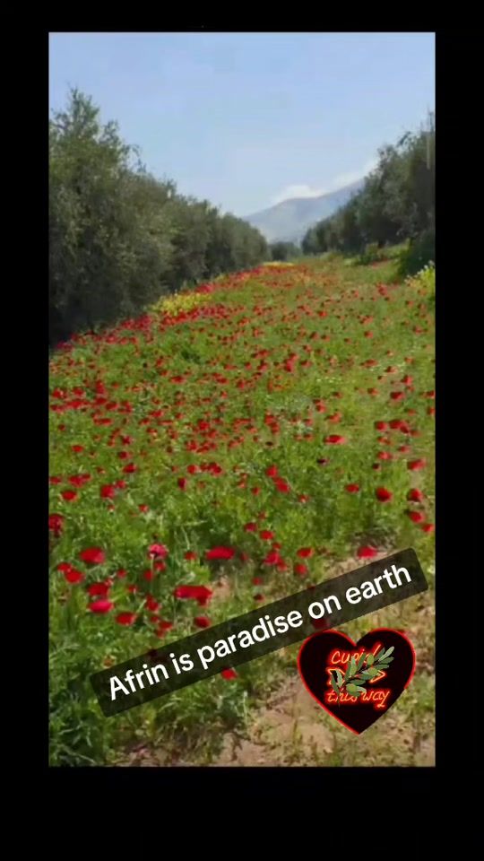 TikTok video thumbnail by .hajhanan