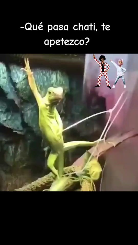 TikTok video thumbnail by _joaquin_68