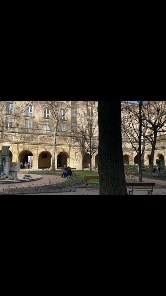 TikTok video thumbnail by niittyviitarosa