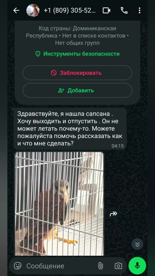 TikTok video thumbnail by zvk2121
