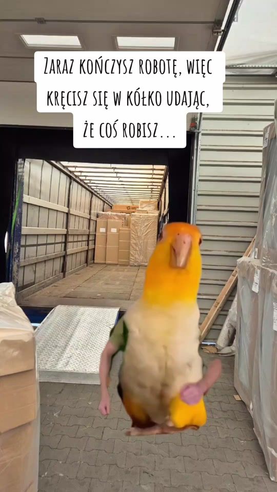 TikTok video thumbnail by dawida4b8