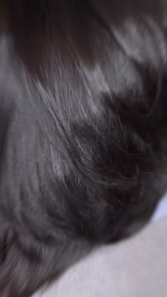 TikTok video thumbnail by chahd_coiffure