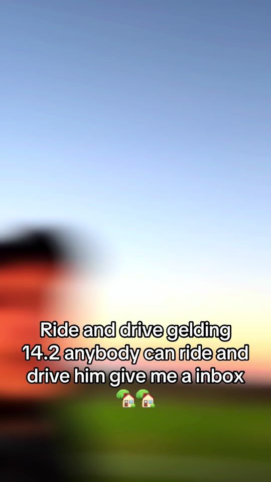 TikTok video thumbnail by markhayward1994