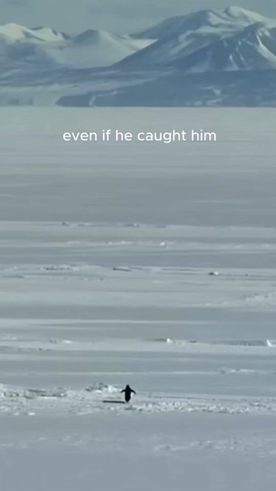 TikTok video thumbnail by marcoballarinisindaco