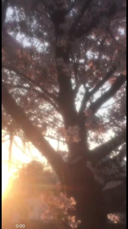 TikTok video thumbnail by user6829151839