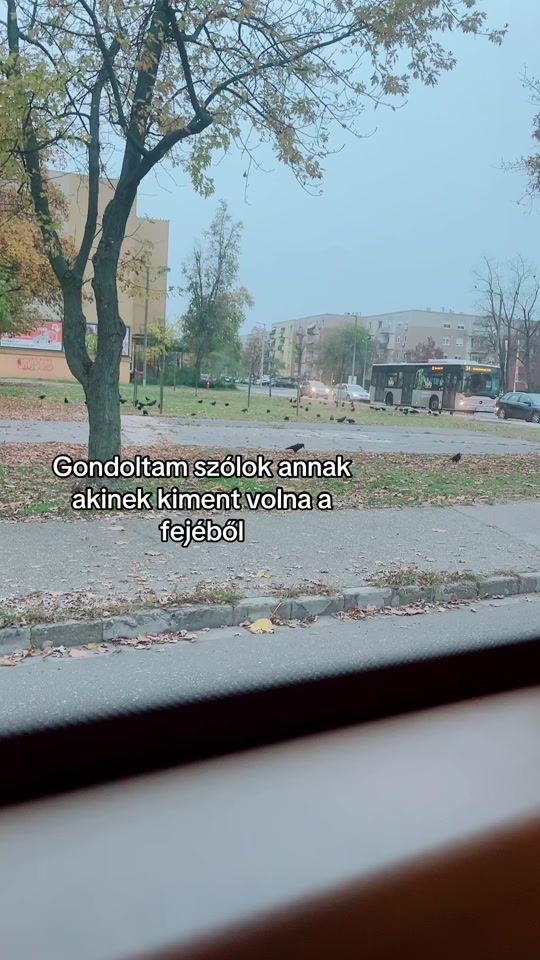TikTok video thumbnail by petrahhh2019