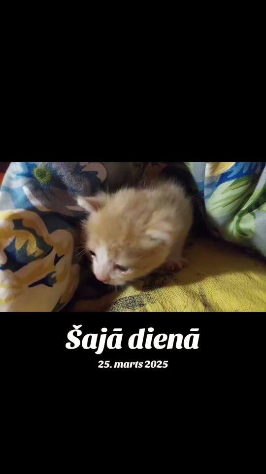 TikTok video thumbnail by irinatamma