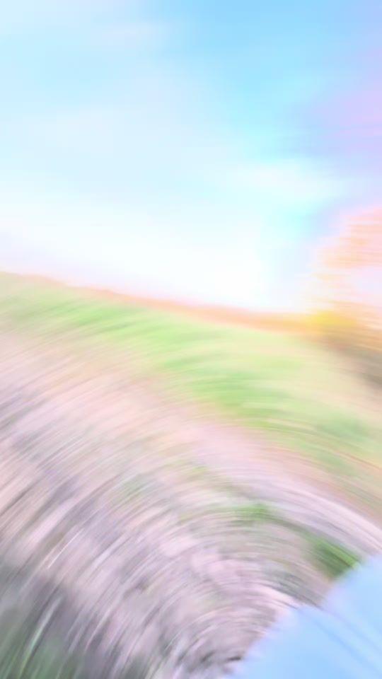 TikTok video thumbnail by _petunaa_