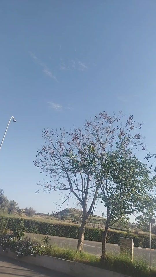 TikTok video thumbnail by attitude.grill07