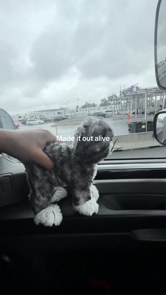 TikTok video thumbnail by krovis99