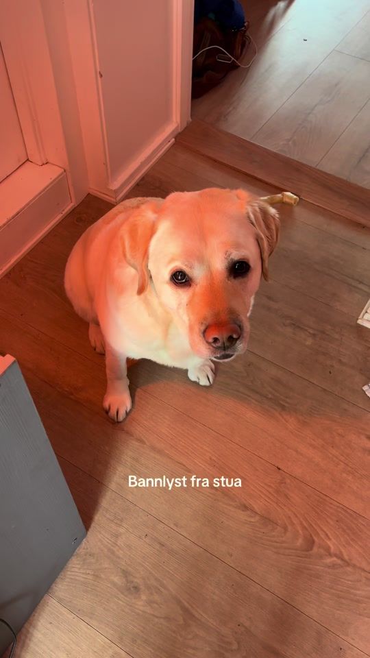TikTok video thumbnail by steffen.og.olav