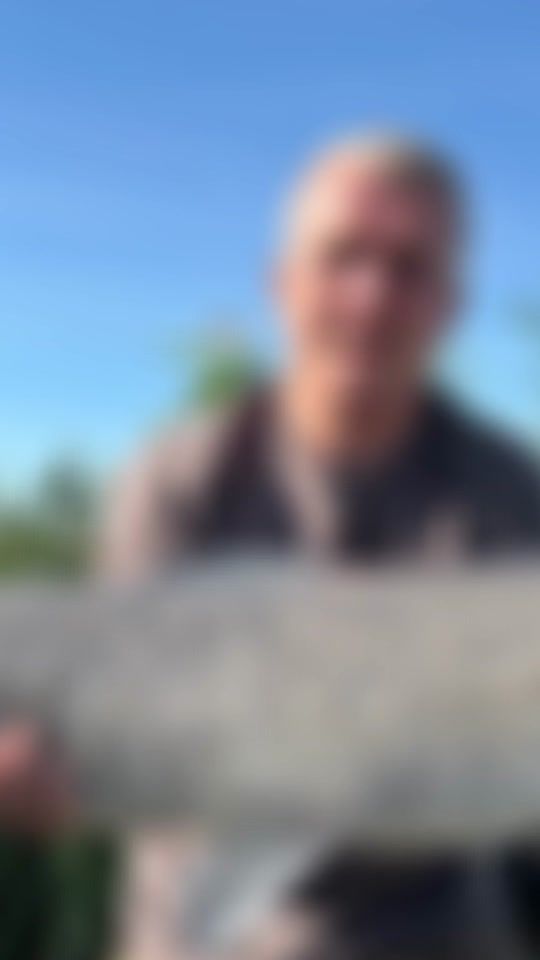 TikTok video thumbnail by arondaniel29