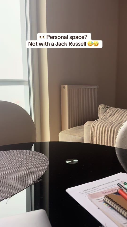 TikTok video thumbnail by travelarafa