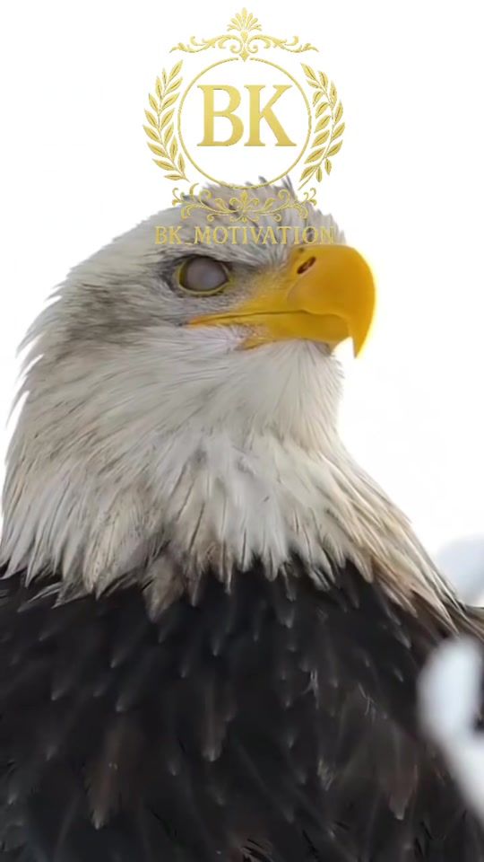 TikTok video thumbnail by bk.motivation4