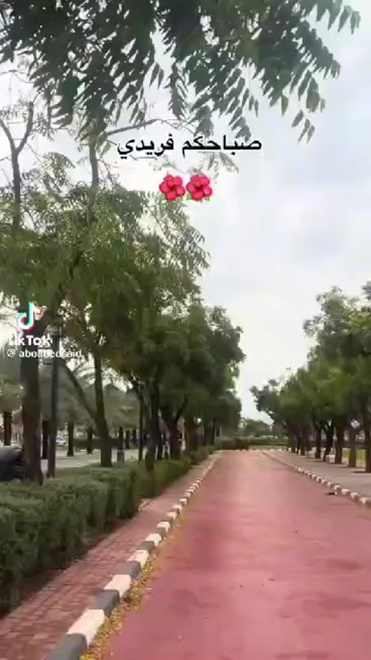 TikTok video thumbnail by fabroniababil