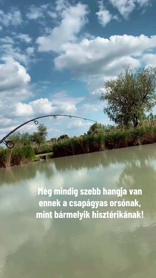 TikTok video thumbnail by acsaba18
