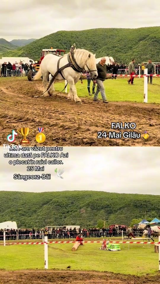 TikTok video thumbnail by mitroimarian377