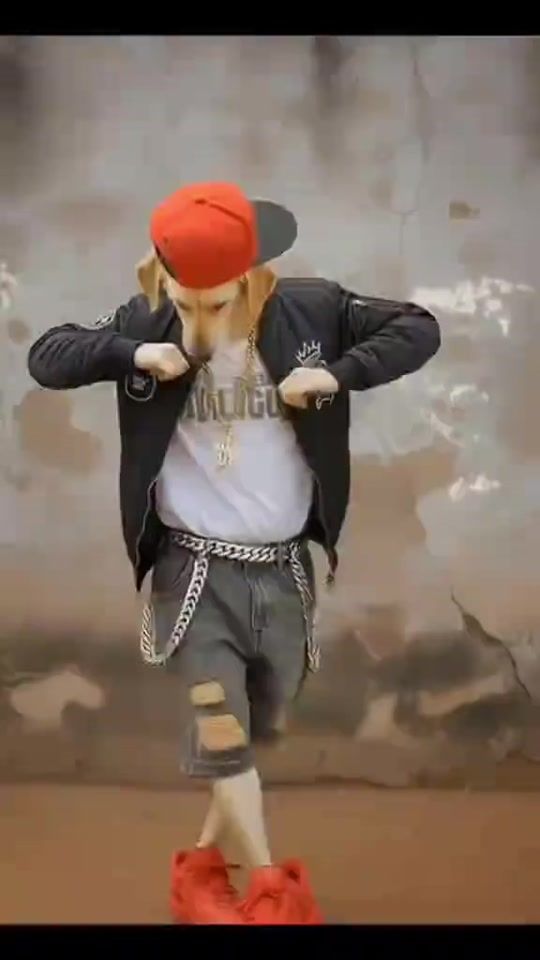 TikTok video thumbnail by soumcfa890