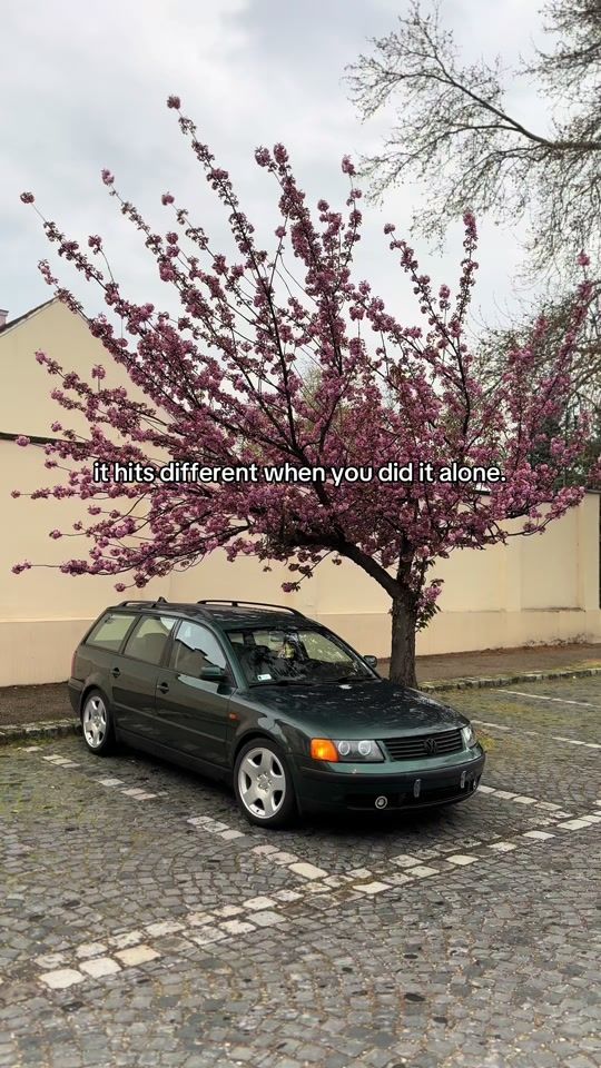 TikTok video thumbnail by barnabas_ferenczi