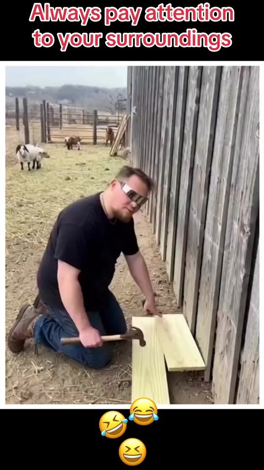 TikTok video thumbnail by mickeh66