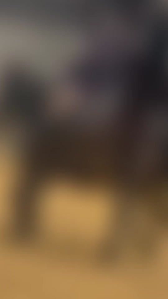 TikTok video thumbnail by nini24804