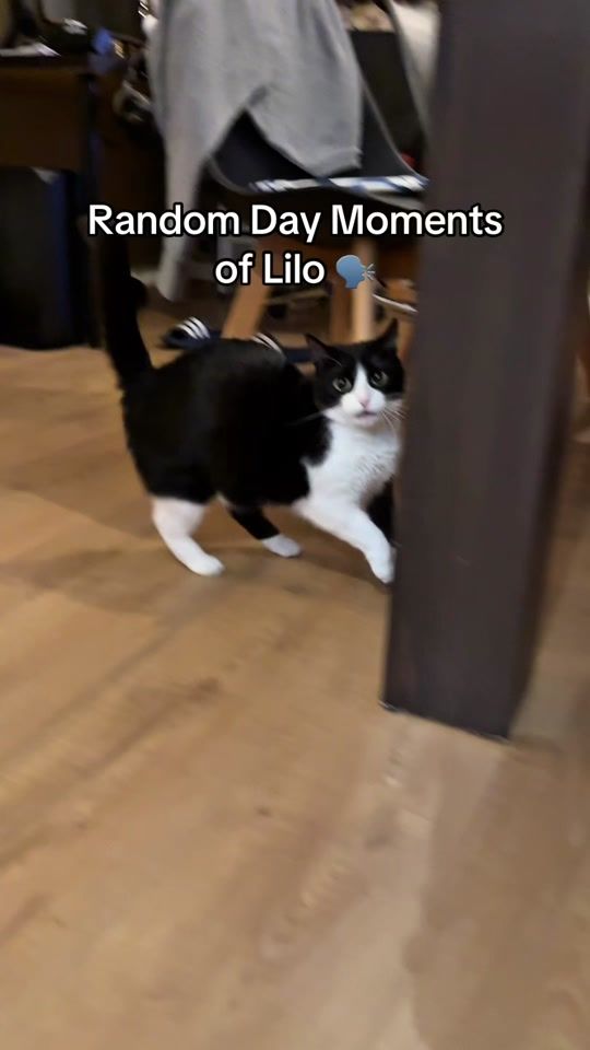 TikTok video thumbnail by lilochipie
