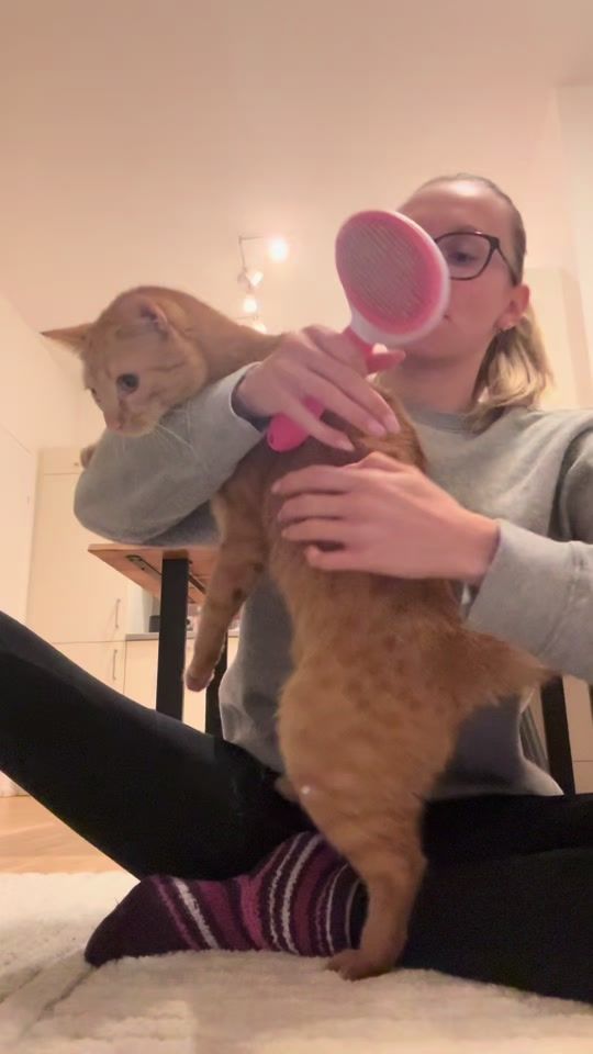 TikTok video thumbnail by laura.hsgr