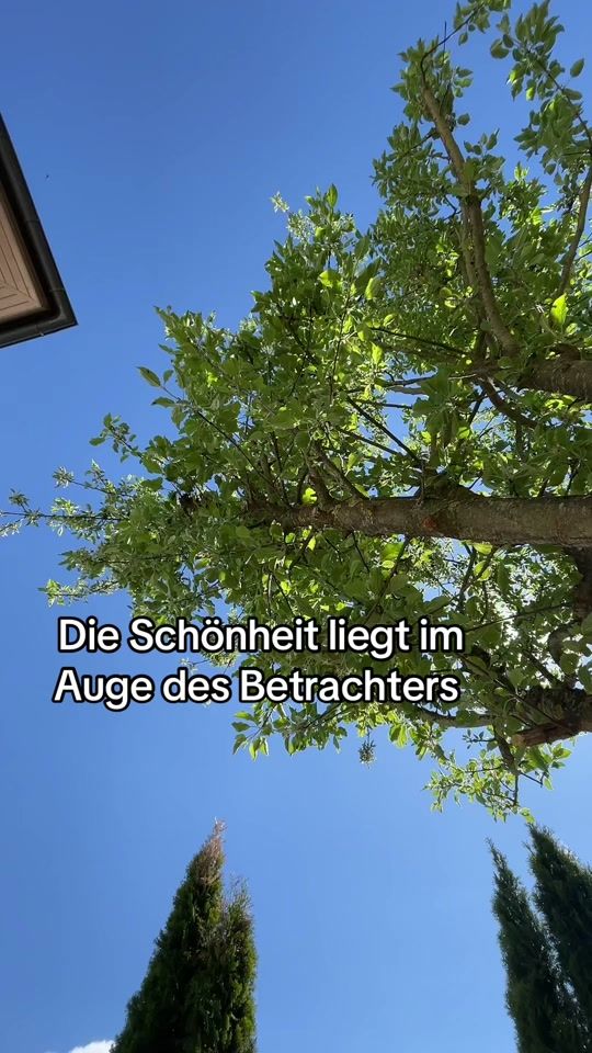TikTok video thumbnail by sabsi.ich.bin.ich