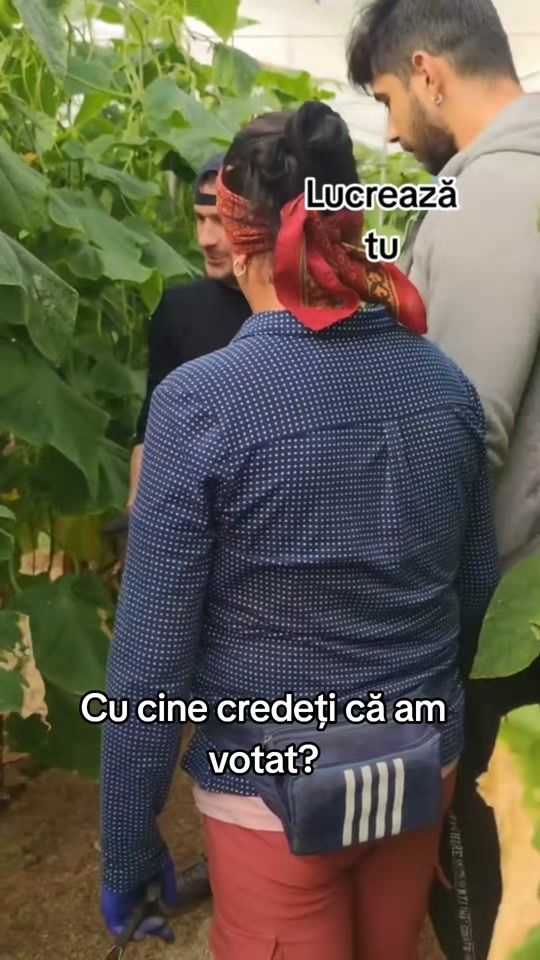 TikTok video thumbnail by dj_gycu