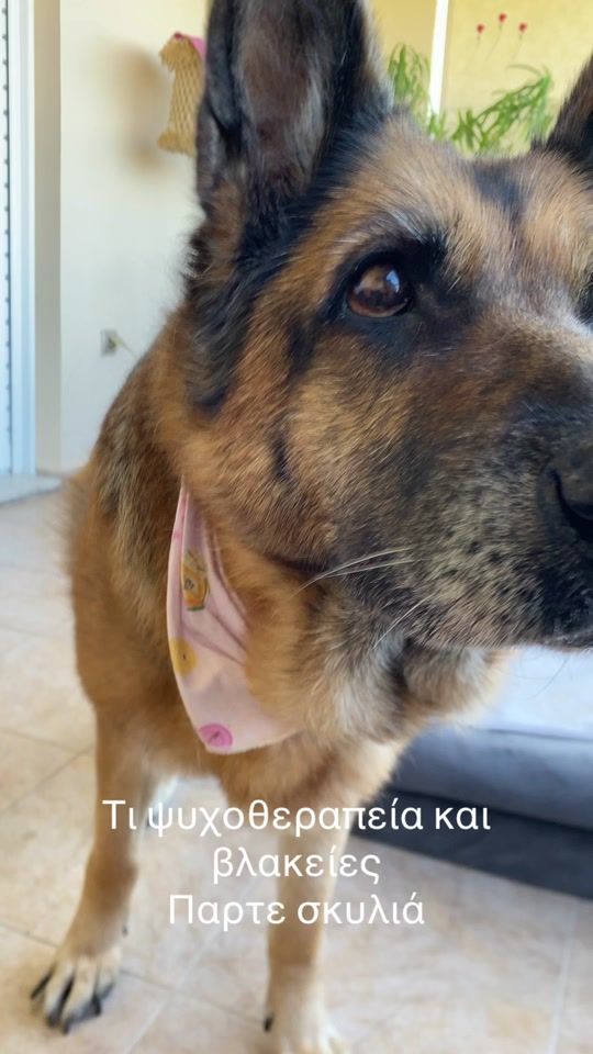 TikTok video thumbnail by toniatsalta