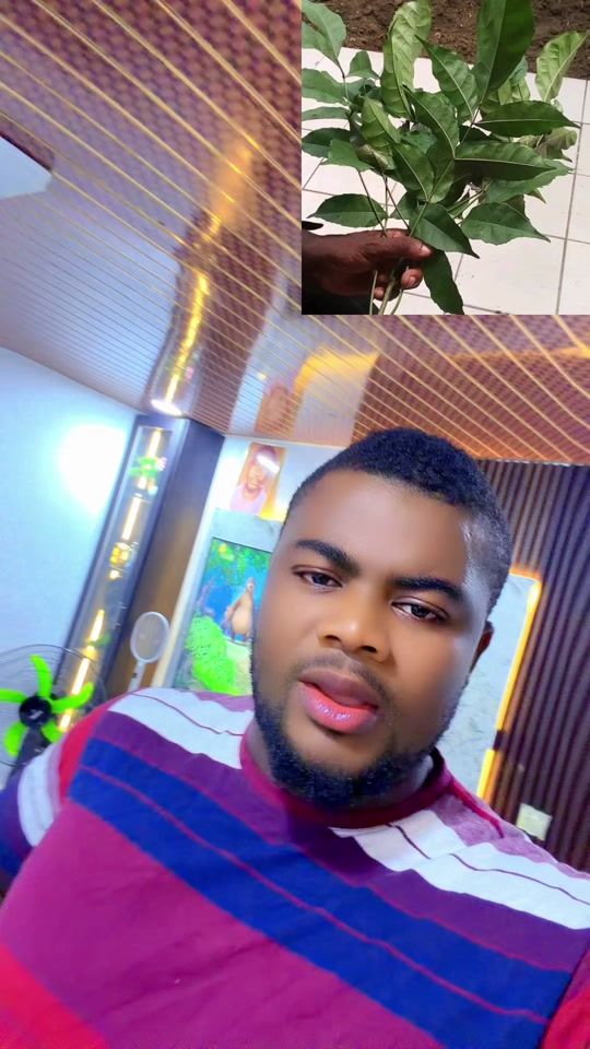 TikTok video thumbnail by ibrahimguinko
