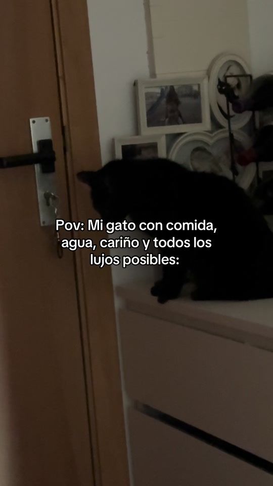 TikTok video thumbnail by cooki3.mr