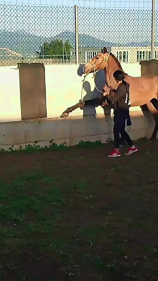 TikTok video thumbnail by rebeccadecarlo3