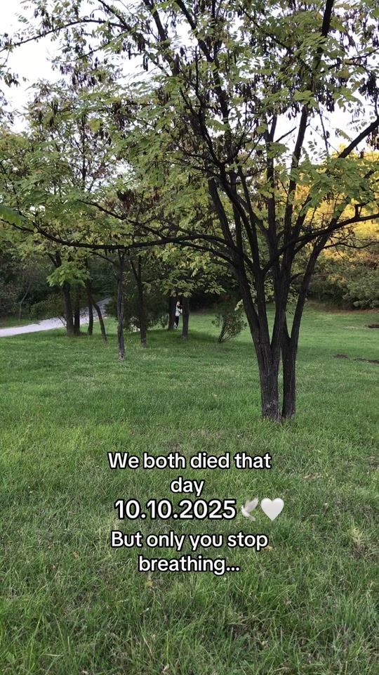 TikTok video thumbnail by boryanaguncheva