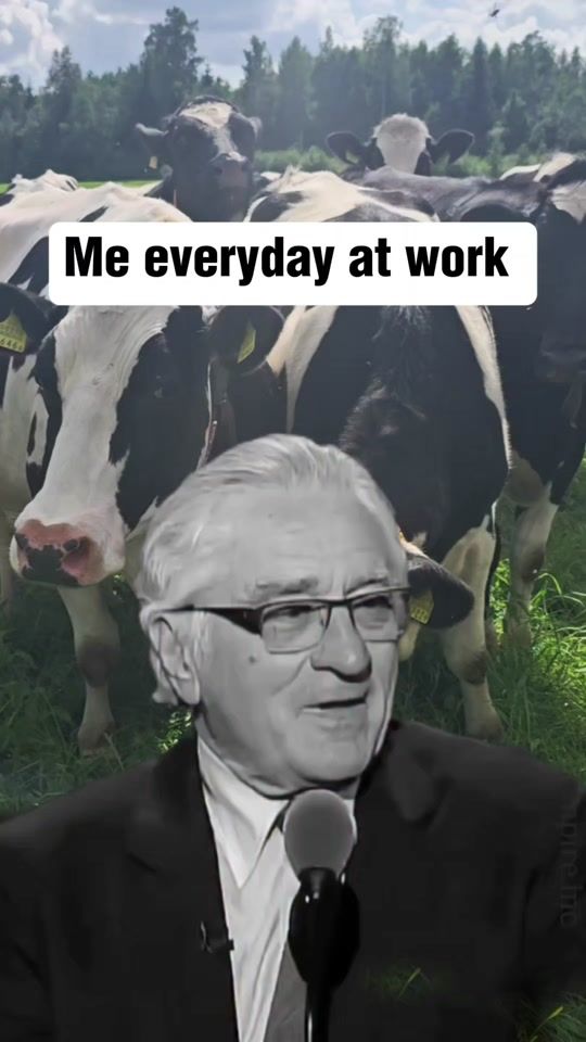 TikTok video thumbnail by estonianhistorydigger