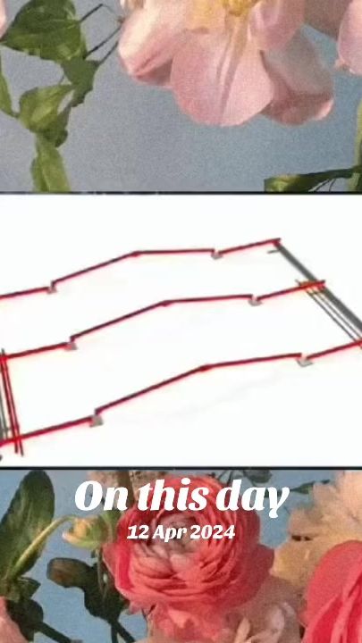 TikTok video thumbnail by flor_en_tino
