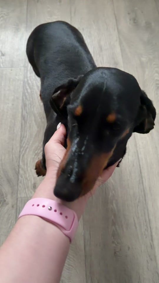 TikTok video thumbnail by eliska.jaresova