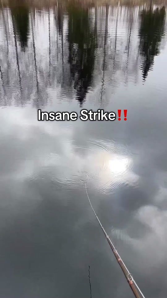 TikTok video thumbnail by fishtalestok