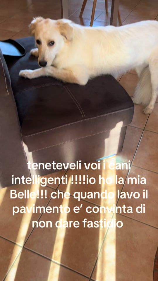 TikTok video thumbnail by marylarossa8