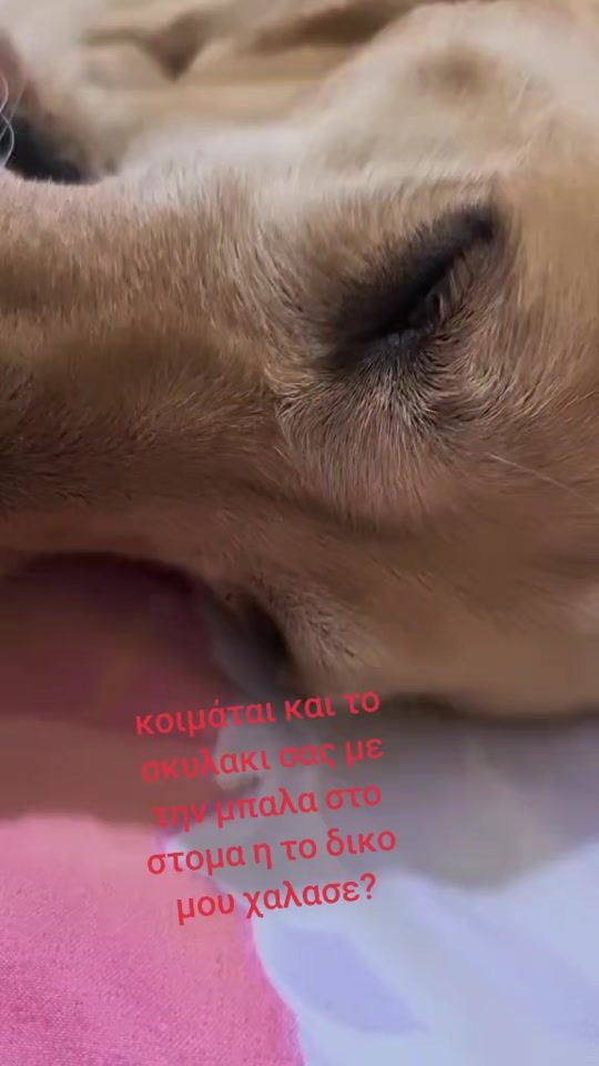 TikTok video thumbnail by labroslag13