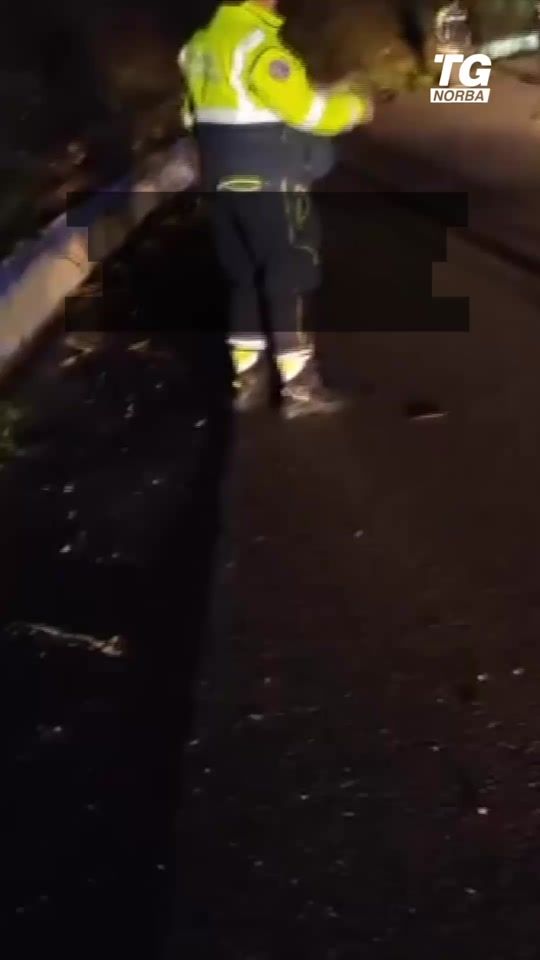 TikTok video thumbnail by tgnorba