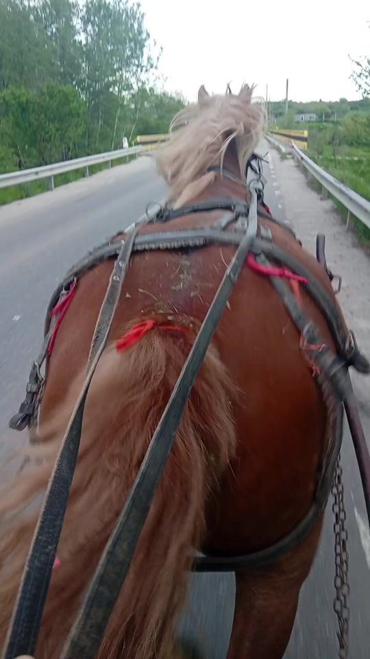 TikTok video thumbnail by marya.lavinia27