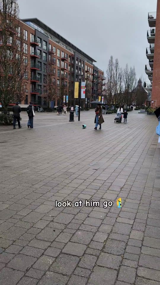 TikTok video thumbnail by oreo.boyboy