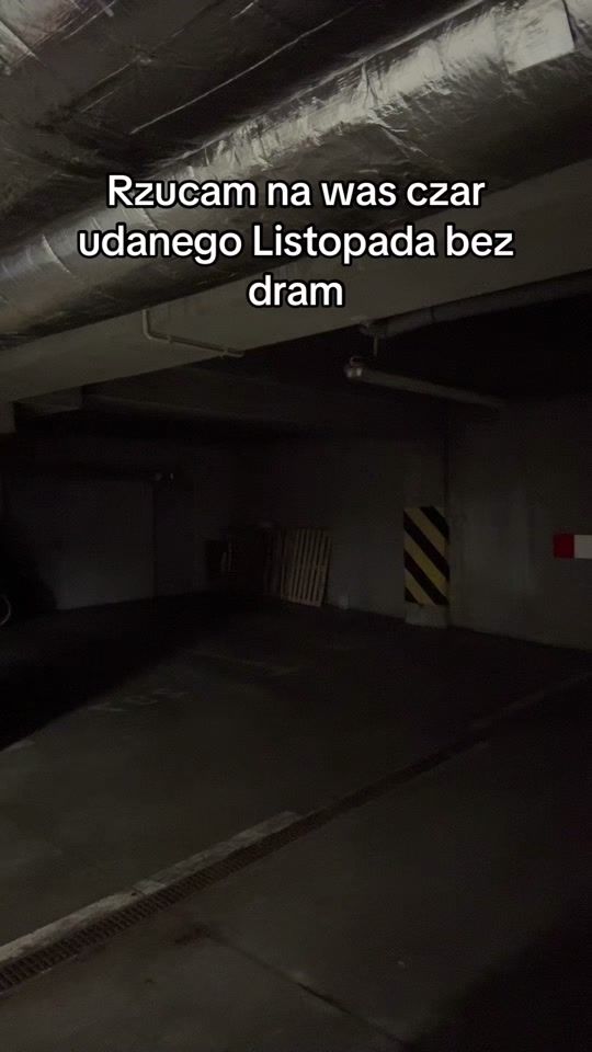 TikTok video thumbnail by wonderek