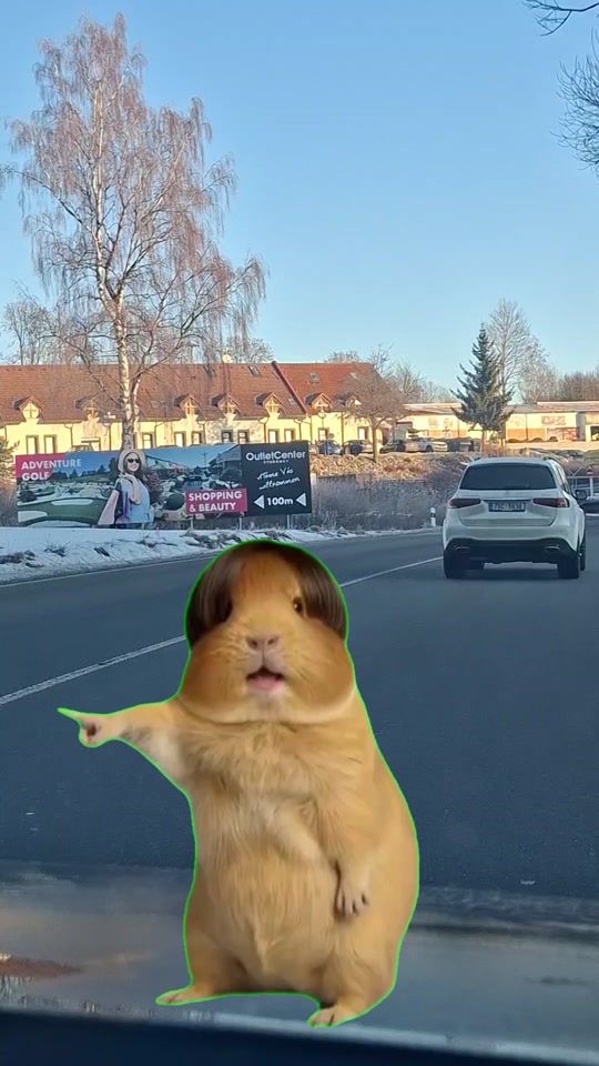 TikTok video thumbnail by nicoleta.balan82