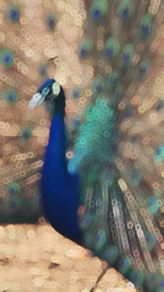 TikTok video thumbnail by lovasrob