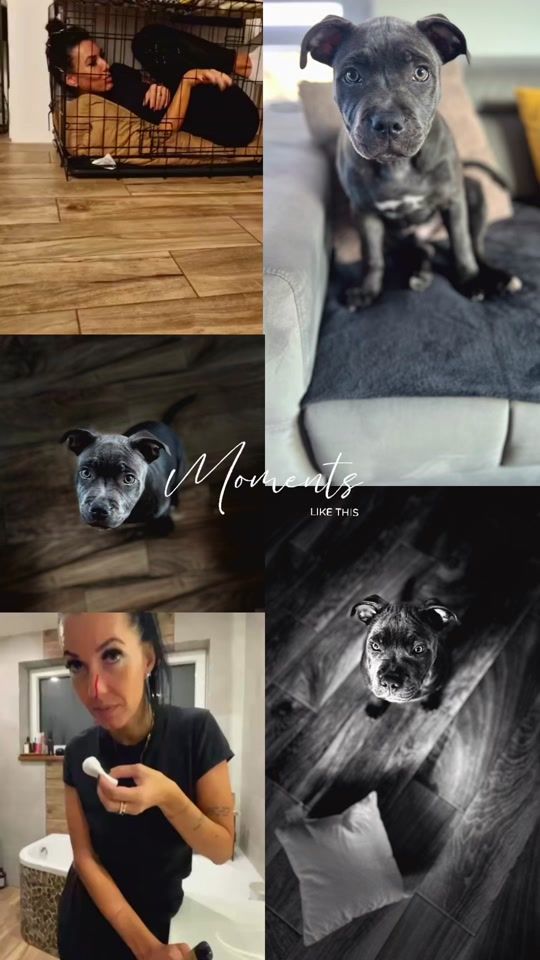 TikTok video thumbnail by 0_solfi
