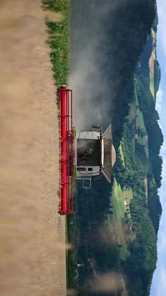 TikTok video thumbnail by jfc.pictures