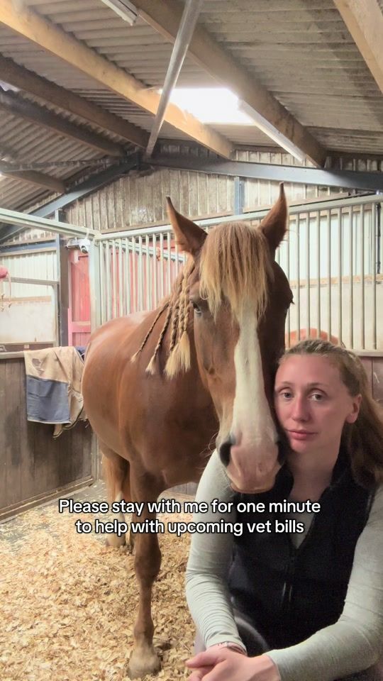 TikTok video thumbnail by blhorsemanship