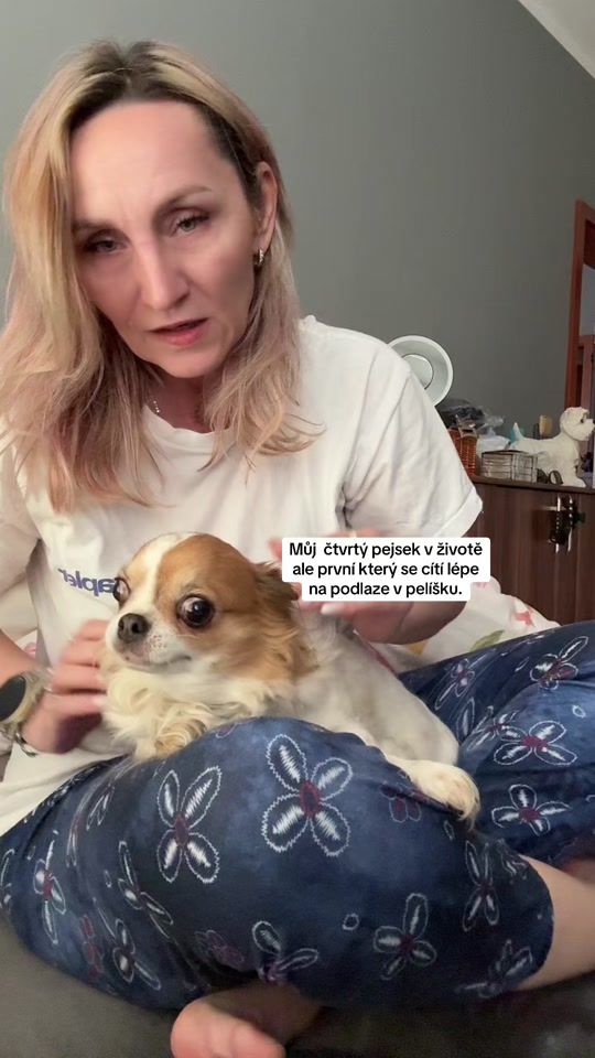 TikTok video thumbnail by monys_louska